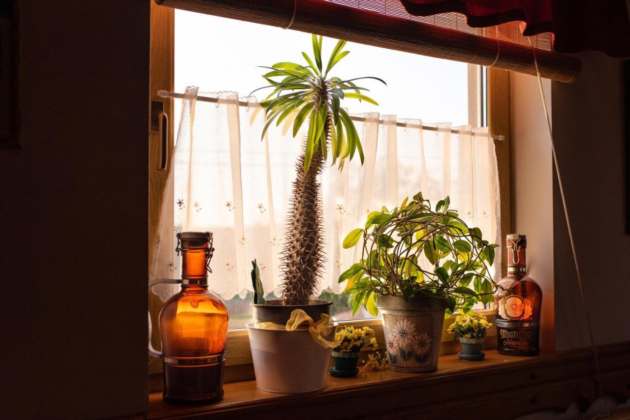 Andrea Wellness Garden Hotell Cserszegtomaj Eksteriør bilde